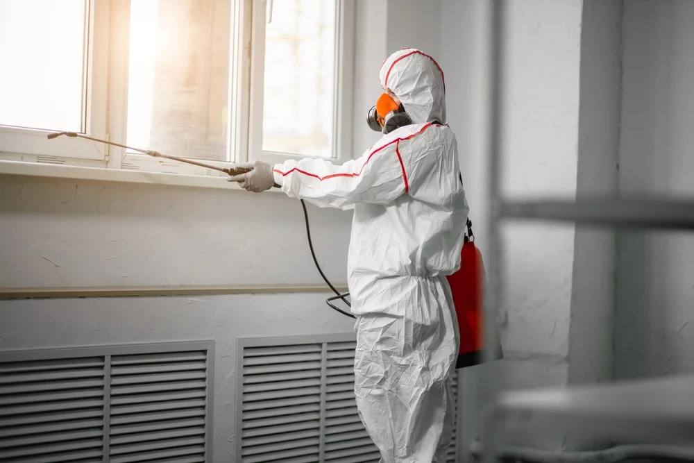 Professional mold remediation services in Marine On Saint Croix, MN